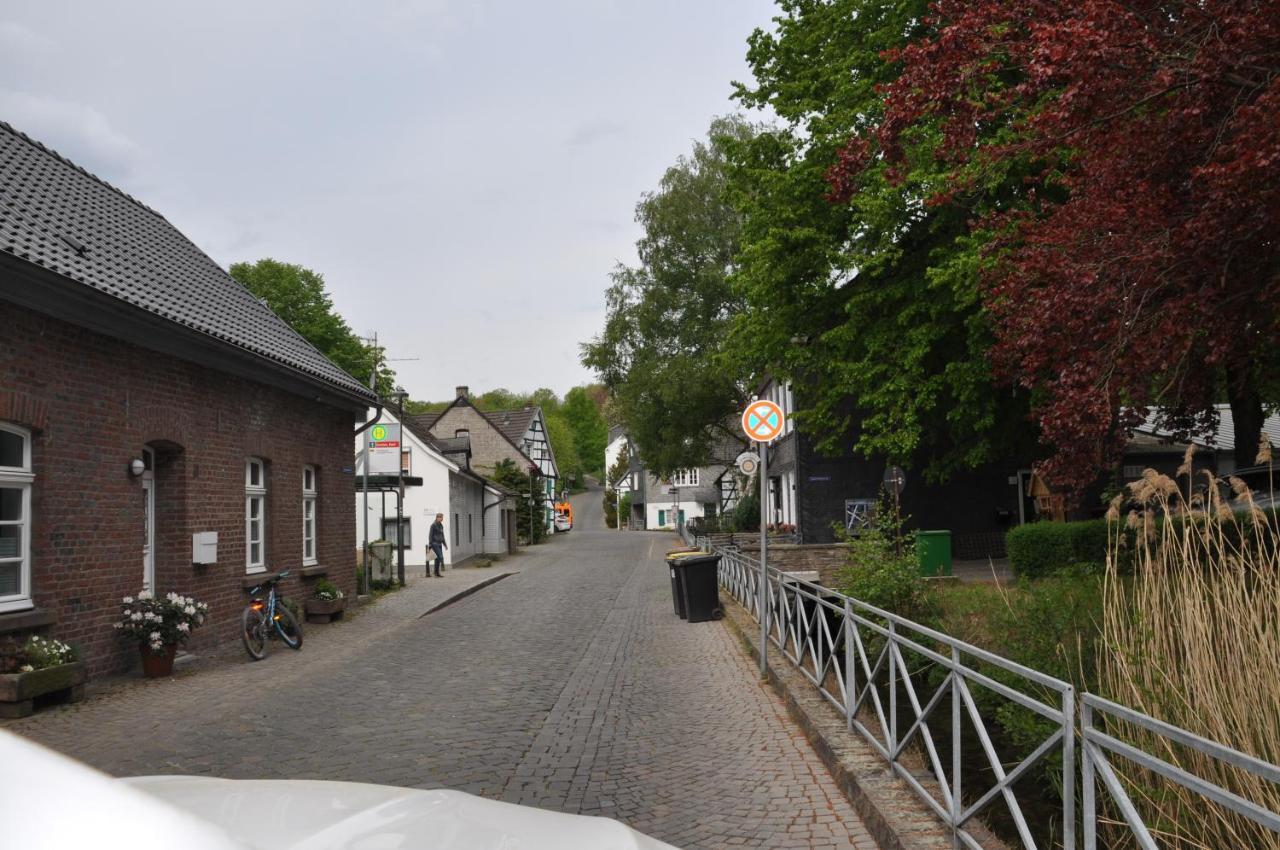 Sterner Obgruiten Haan Kültér fotó