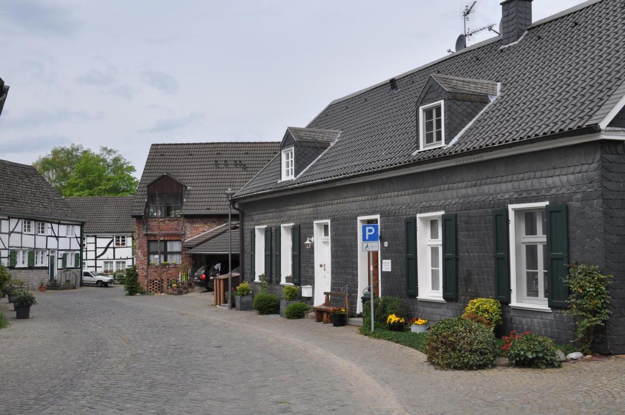 Sterner Obgruiten Haan Kültér fotó